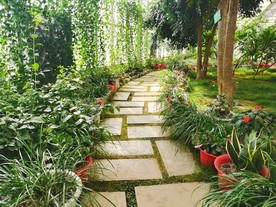 花园小路 石板路