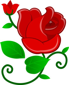 玫瑰花