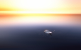 水面