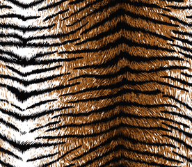 豹纹系列  长条豹纹