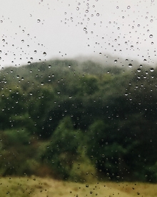 雨珠