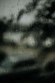 雨珠