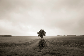 艺术文艺·意境