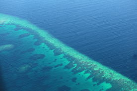 海岛