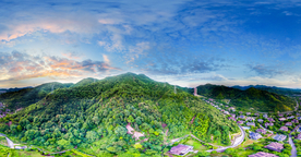 青山
