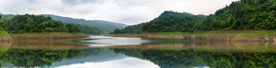 水库湿地