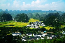 田野村庄
