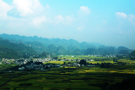 田野村庄