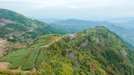 山地