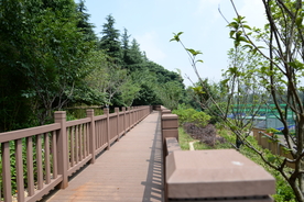 栈道