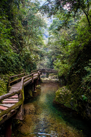 山中栈道