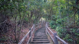 山路石阶