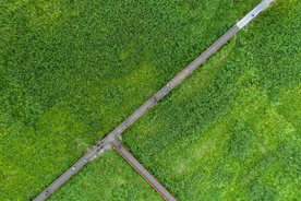 公园走道