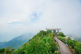 山顶