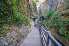 山路
