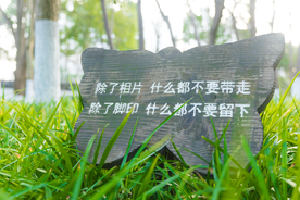 草坪