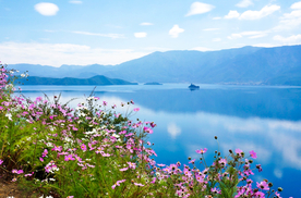 山水