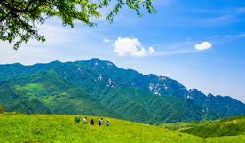 山