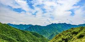山