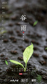 谷雨