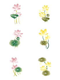 荷花