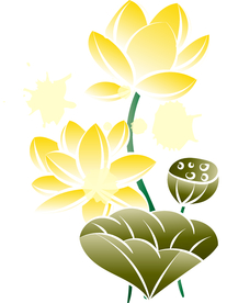 荷花