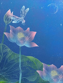 荷花