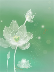 荷花