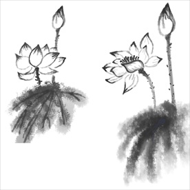 荷花