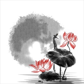 荷花