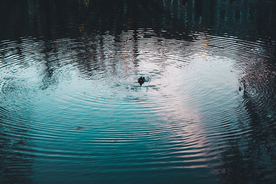 水纹