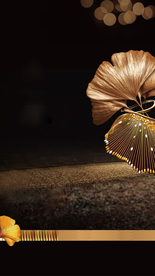 黑金