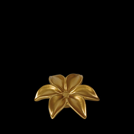 黑金