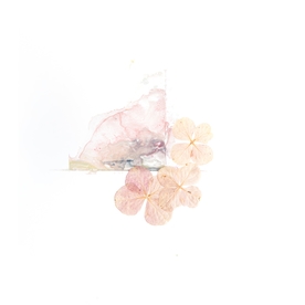 花卉
