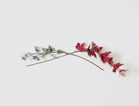 花卉