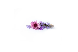 花卉