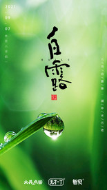 白露