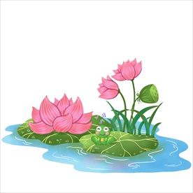 荷花