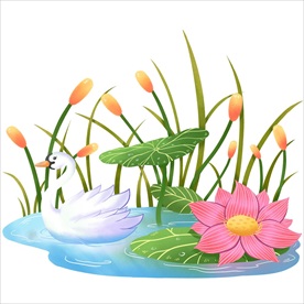 荷花