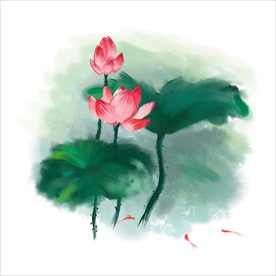 荷花