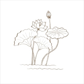 荷花