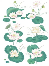 荷花