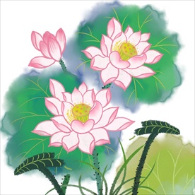 荷花