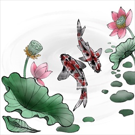 荷花