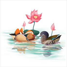 荷花