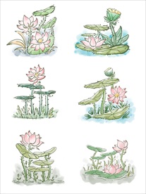 荷花