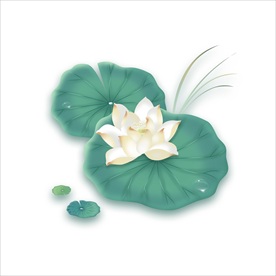 荷花