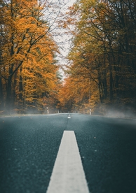 道路