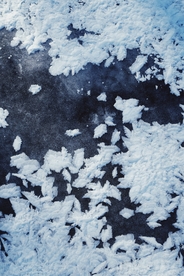 冬季寒冷冰霜冰花