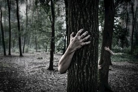 恐怖树木手臂